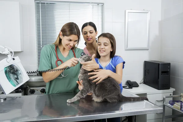 Mother And Daughter Holding Gray Cat During Ear Examination