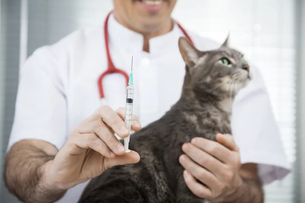 Midsection Of Doctor Holding Injection For Sick Cat