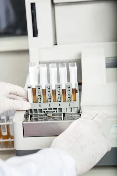 Technician Using Urine Analyzer To Test Samples