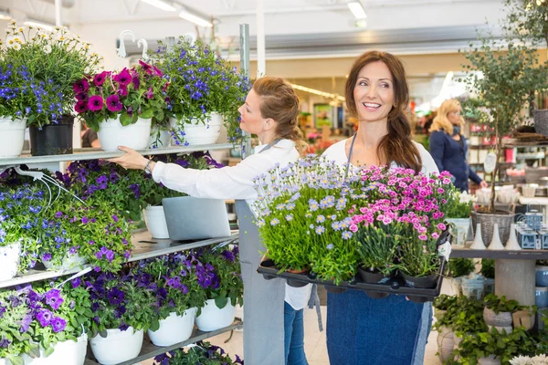 Female Workers Working In Flower Shop