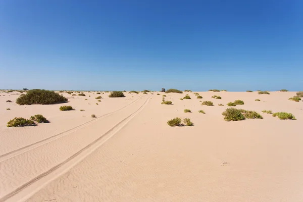 Sahara desert in Western Sahara