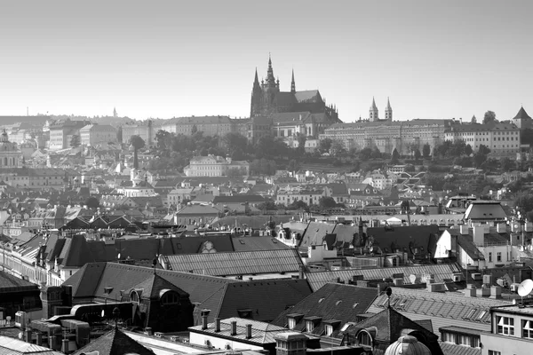 Prague through the eyes of birds