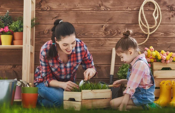 Mother and her daughter engaged in gardening