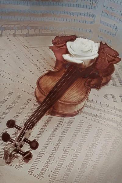 Old violin with musical notes and rose