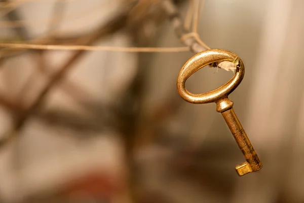 Old golden key close-up
