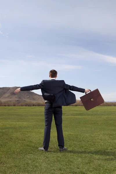 Businessman standing on green meadow with a briefcase