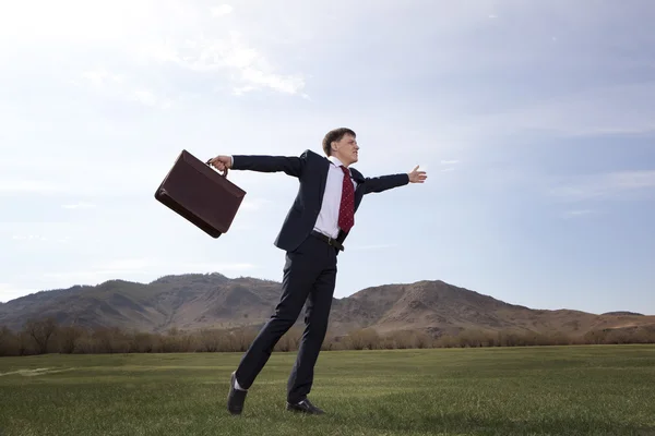 Businessman standing on green meadow with a briefcase