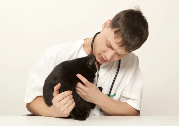 Veterinarian surgeon doctor and cat