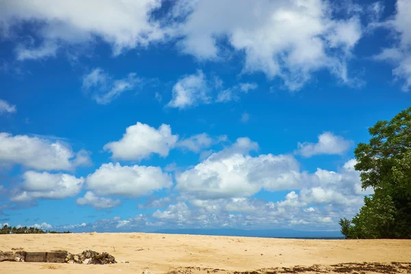 Dream beach at sunny day