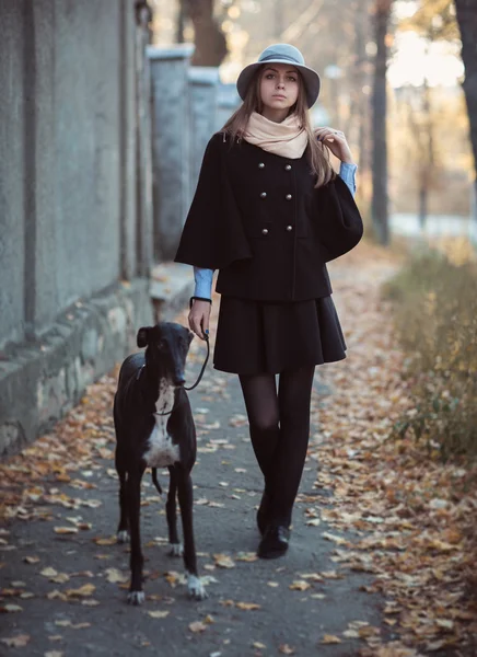 Young attractive girl dressed elegantly walks with the dog greyh