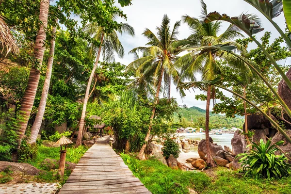 Beautiful tropical garden