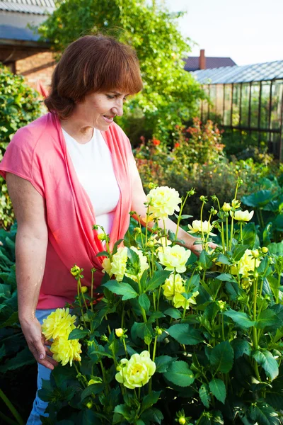 Woman in the garden cares for flowers