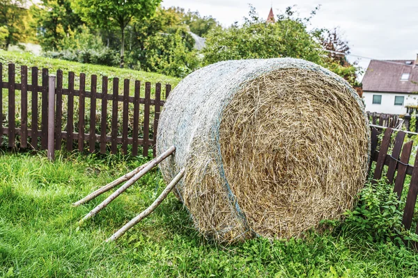 Hay is grass