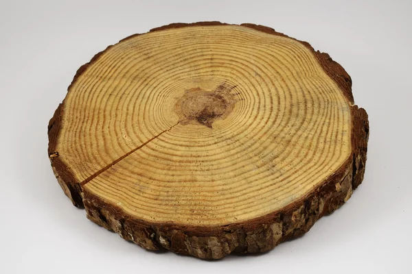 Wooden circle with a split cut of the log on white