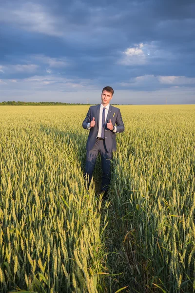 Happy farmer, businessman, standing in wheat field with his hands and thumbs up