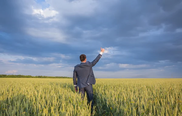 Happy farmer, businessman, standing in wheat field with his hands and thumbs up