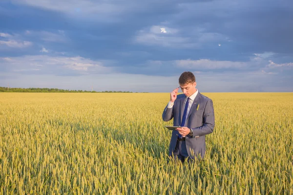 Businessman on a wheat field