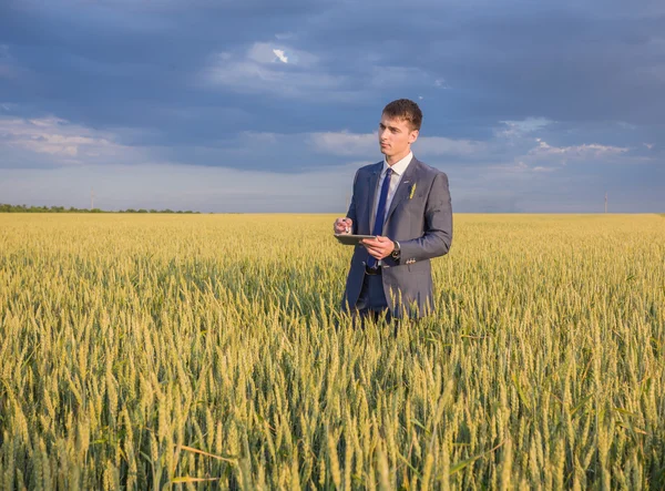 Businessman on a wheat field