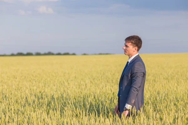 Happy farmer, businessman, standing in wheat field with his hands and thumbs up