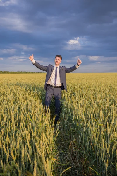 Happy farmer, businessman, standing in wheat field with his hands and thumbs up