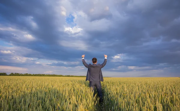 Happy farmer, businessman, standing in wheat field with his hands and thumbs up