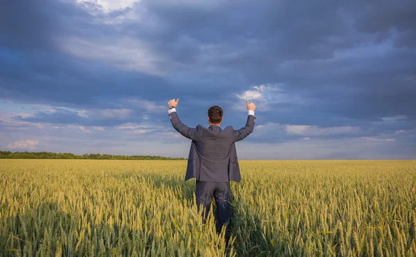 Happy farmer, businessman, standing in wheat field with his hands and thumbs up