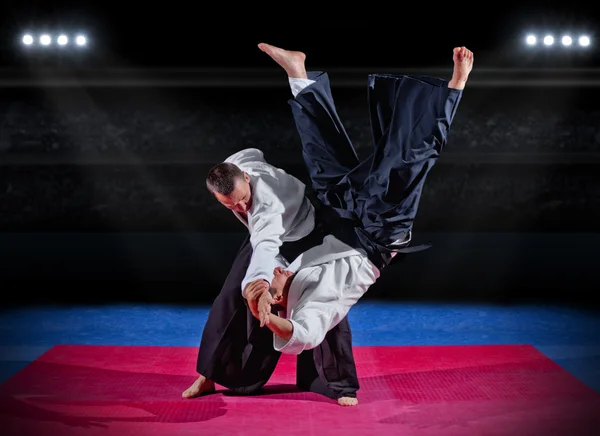 Fight between two martial arts fighters