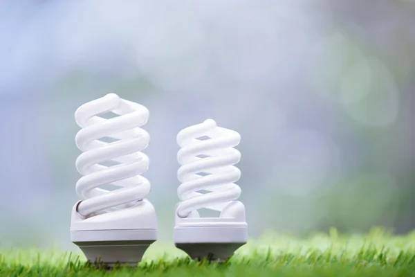Energy saving bulbs in the grass