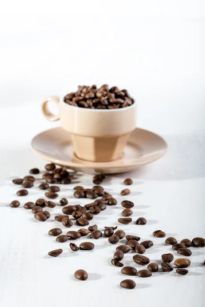 Coffee seed in beige cup