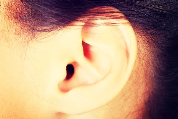 Young woman ear