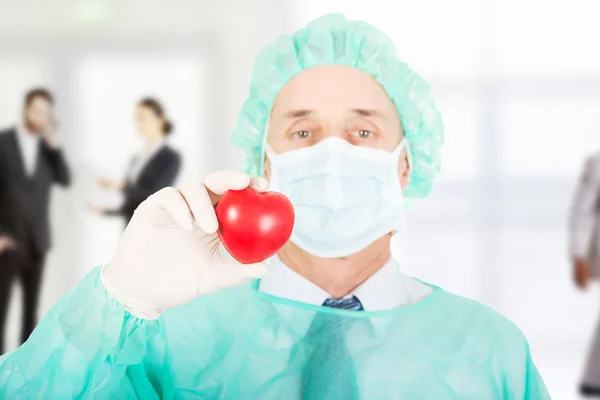 Surgeon doctor holding a heart.
