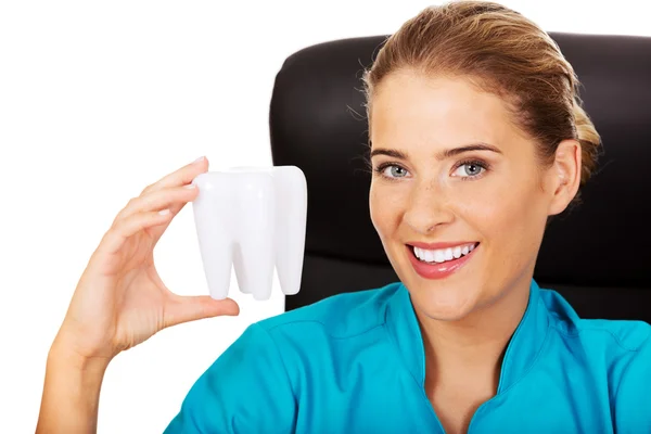 Female dentist holding tooth model and sitting behind the desk