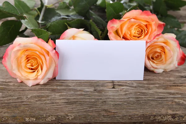 Beautiful pink rose and greeting card