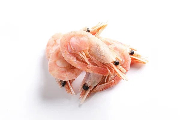 Delicious shrimps isolated