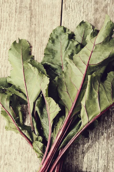 Fresh beetroots leaves