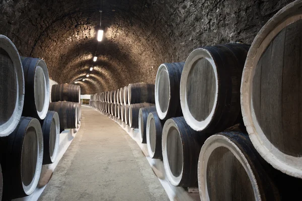 Barrels in wine cellar