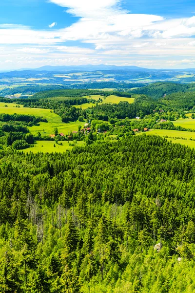 Summer inspirational landscape green forest and mountains