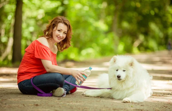Woman gives to drink the Samoyed dog