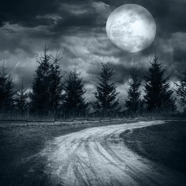 Magic night landscape with empty rural road going under full moon