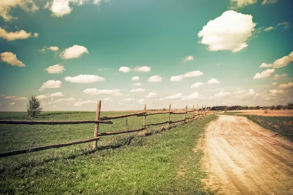 Sunny day in countryside. Empty rural road going through summer