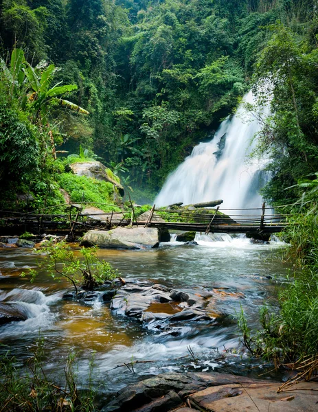 Tropical rain forest landscape with Pha Dok Xu waterfall and bamboo bridge. Thailand