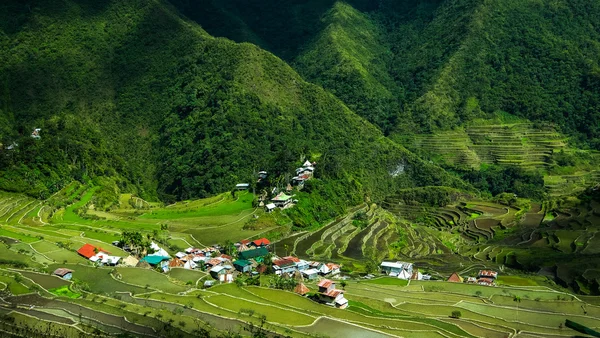 Village houses near rice terraces fields. Amazing abstract textu