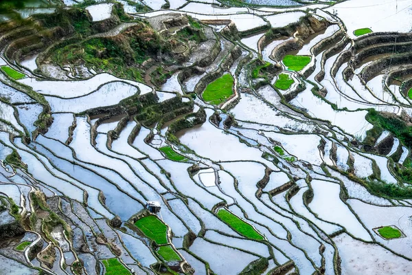 Abstract rice terraces texture with sky reflection. Banaue, Philippines