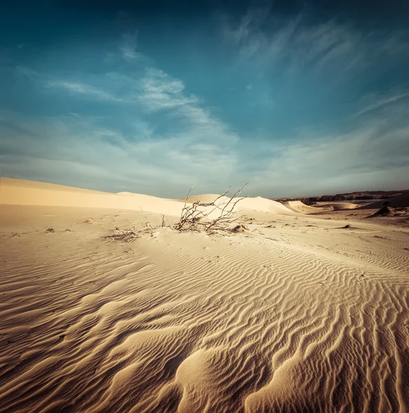 Desert landscape with dead plants in sand dunes. Global warming