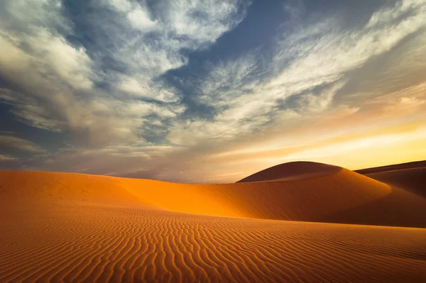 Global warming concept. Lonely sand dunes at sunset desert