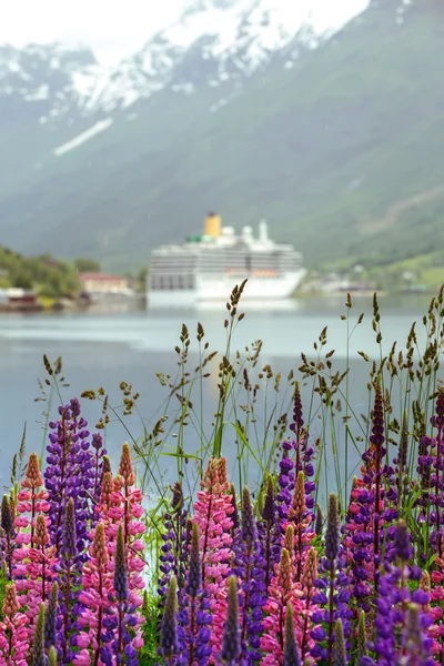 Mountain landscape and cruise ship
