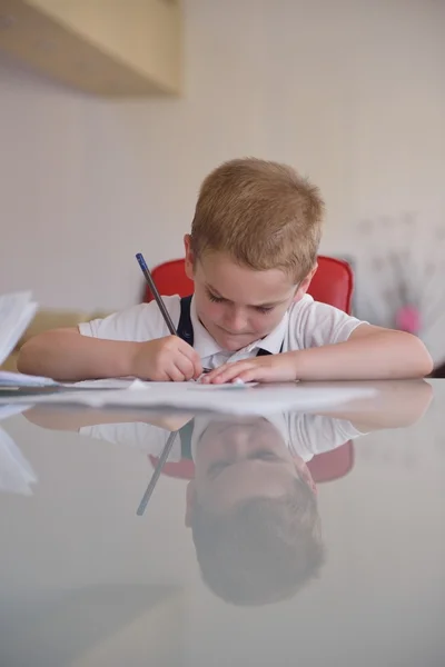 Boy doing homework