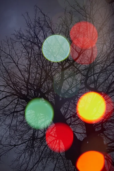 Abstract tree with lights and double exposure