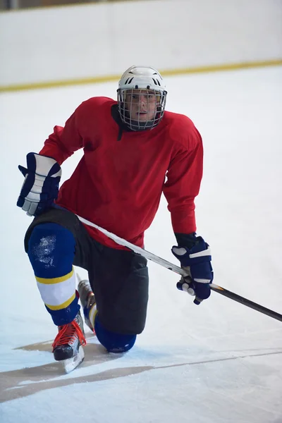 Ice hockey player in action