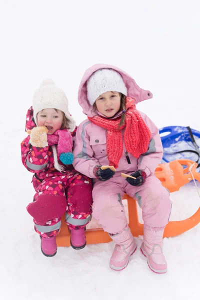 Portrait of two little grils sitting together on sledges